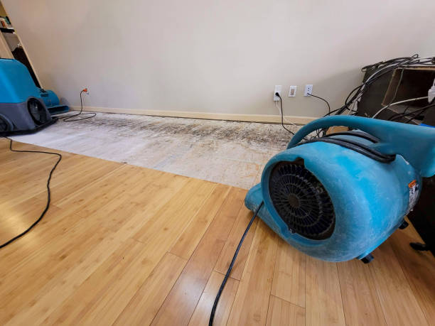 Professional Flood Damage Cleanup technician working in Star Prairie, WI